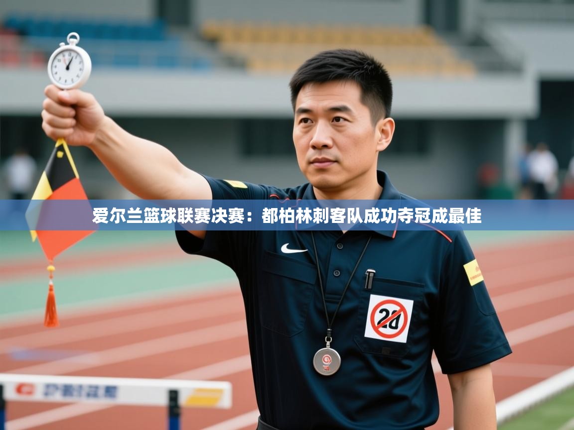 kaiyun-爱尔兰篮球联赛决赛:都柏林刺客队成功夺冠成最佳  第4张