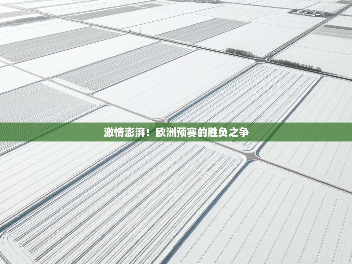 开云体育直播平台-激情澎湃!欧洲预赛的胜负之争  第3张