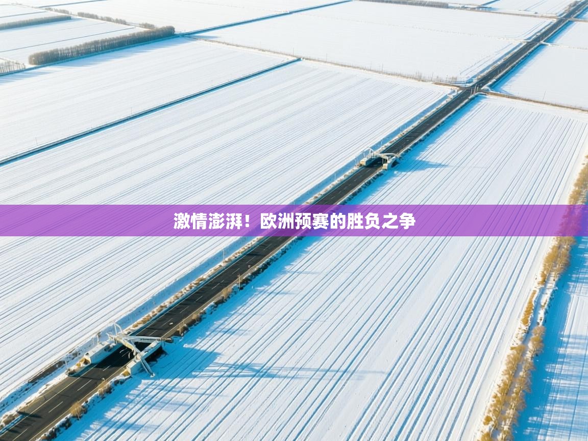 开云体育直播平台-激情澎湃!欧洲预赛的胜负之争  第4张