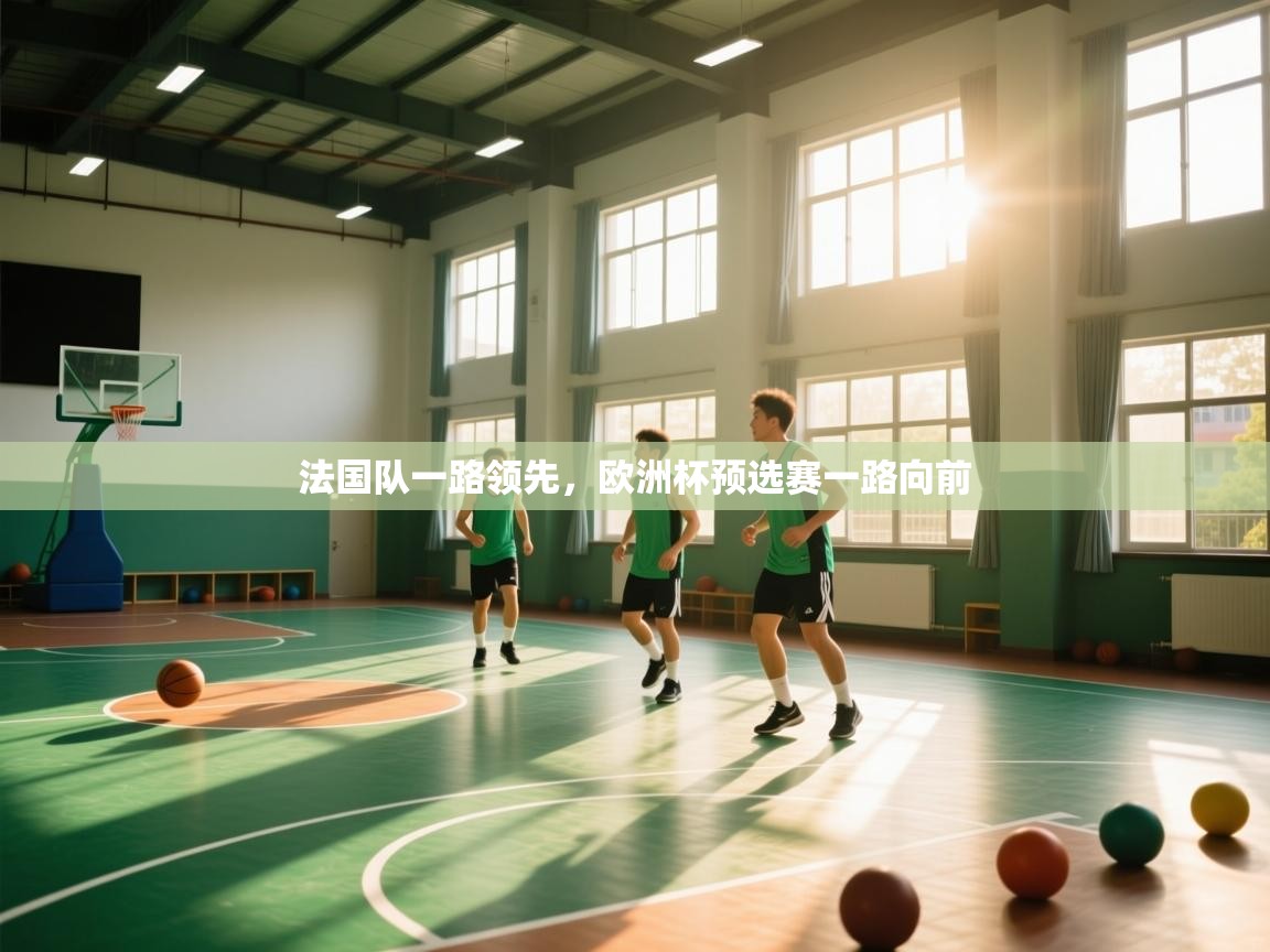 开云体育在线入口-法国队一路领先,欧洲杯预选赛一路向前 第1张