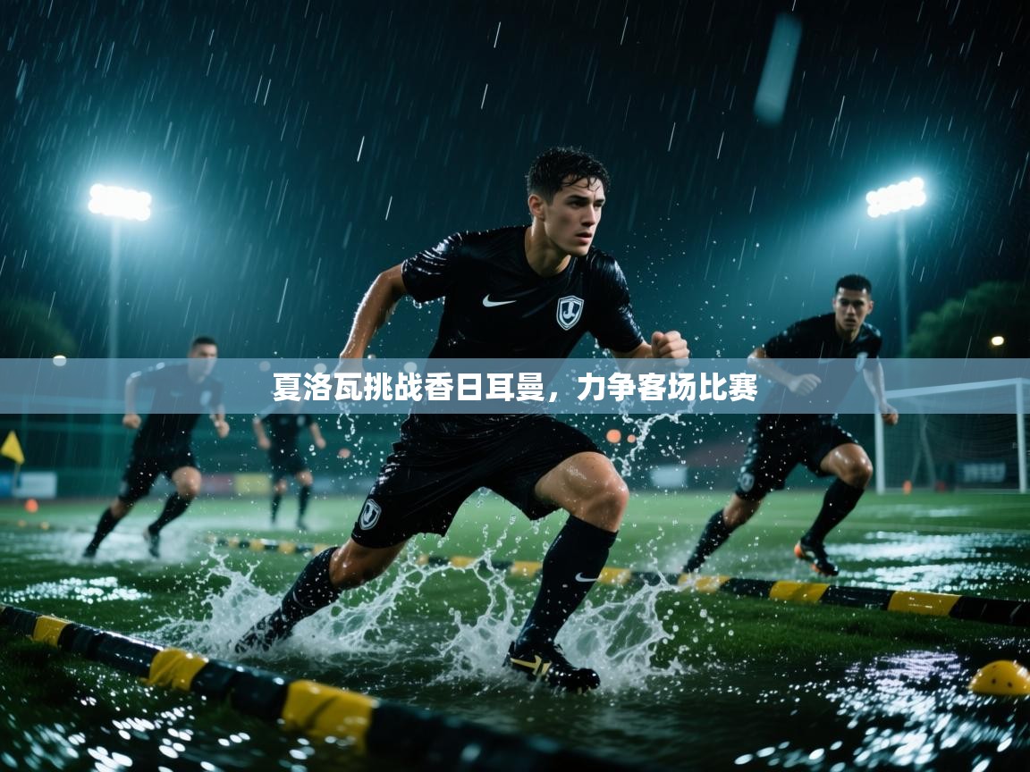 开云体育app评价-夏洛瓦挑战香日耳曼，力争客场比赛  第2张