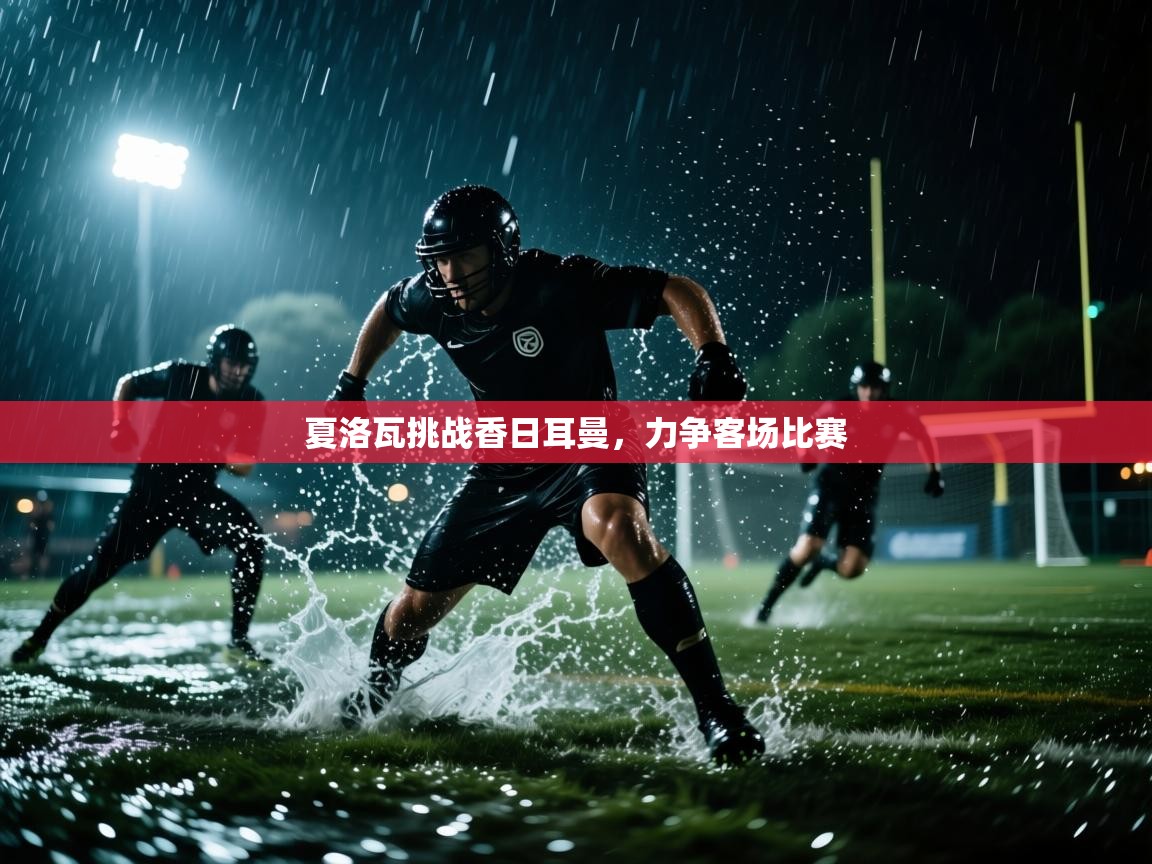 开云体育app评价-夏洛瓦挑战香日耳曼，力争客场比赛  第3张