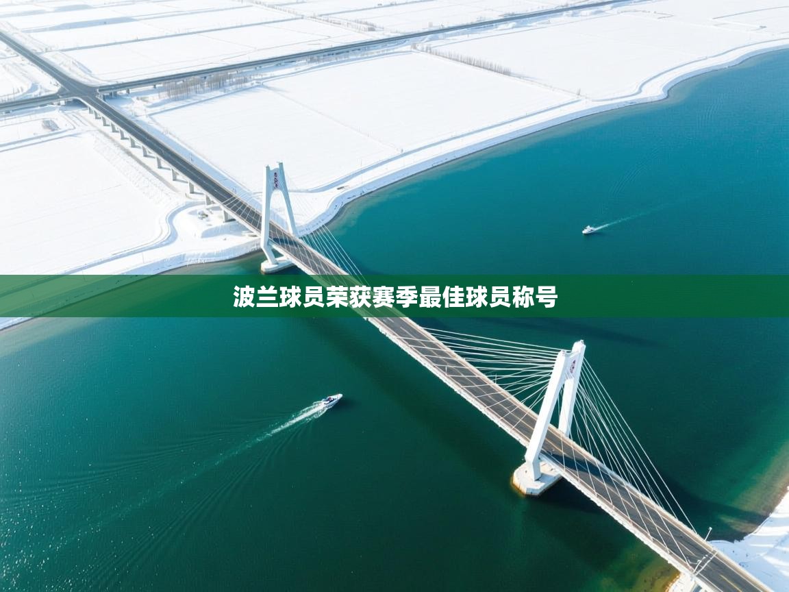 开云体育工单提交入口-波兰球员荣获赛季最佳球员称号 第2张