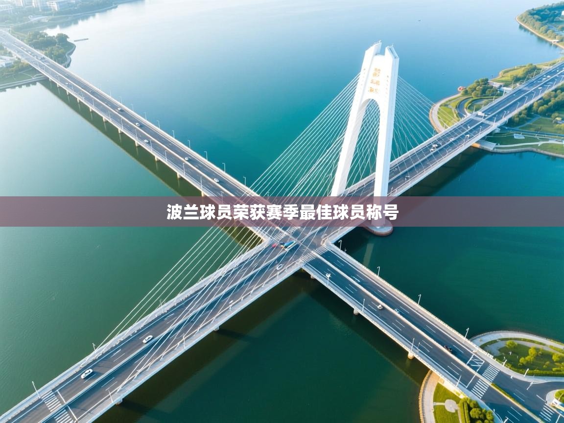 开云体育工单提交入口-波兰球员荣获赛季最佳球员称号 第3张