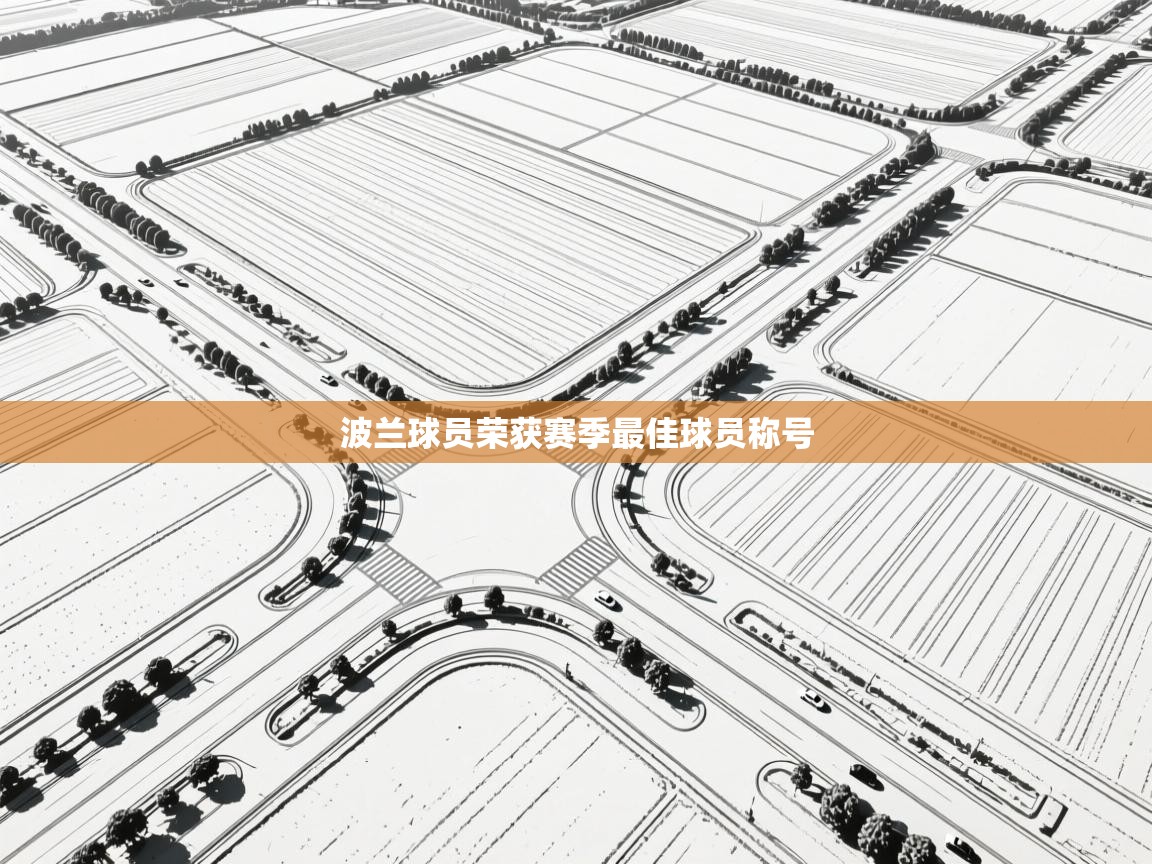 开云体育工单提交入口-波兰球员荣获赛季最佳球员称号 第4张