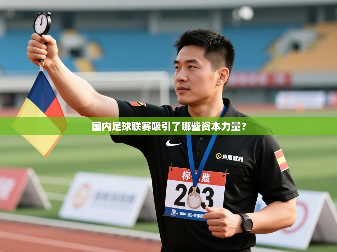 开云·体育app中国官方网站-国内足球联赛吸引了哪些资本力量？