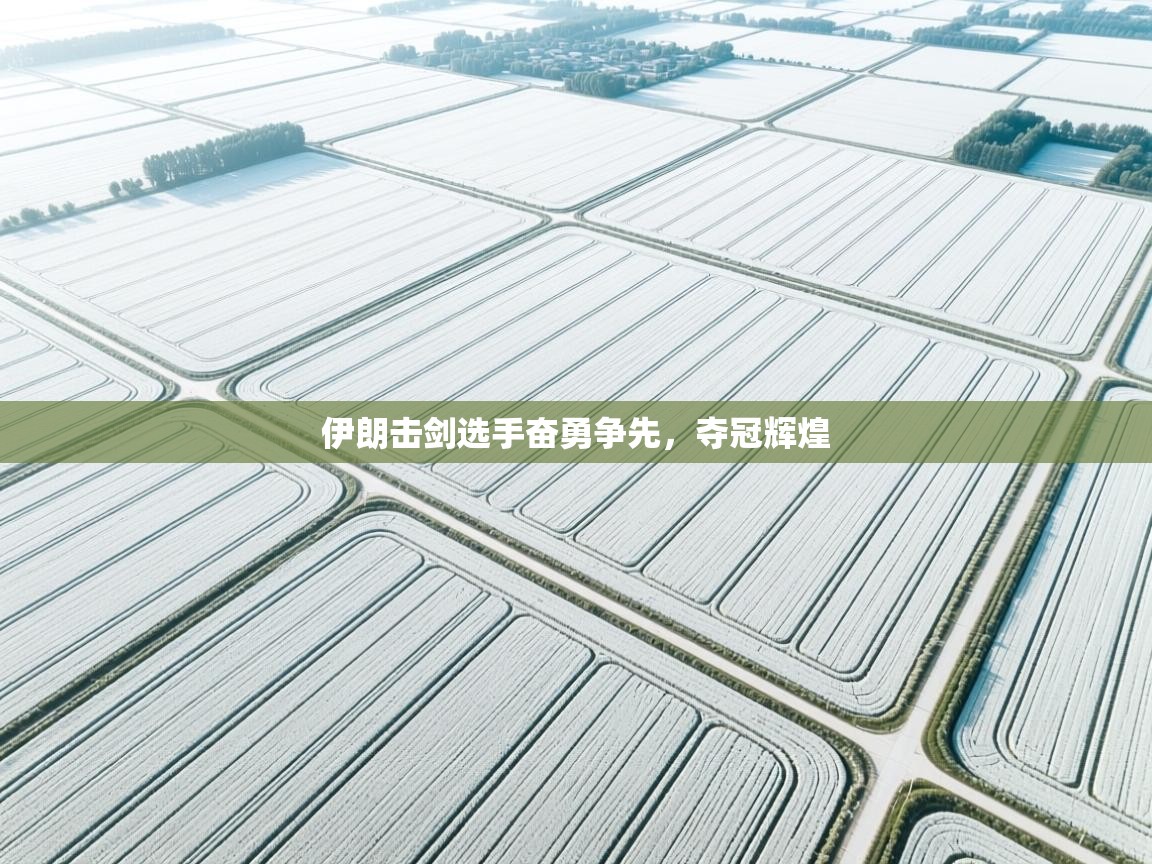 开云体育热门赛事直达-伊朗击剑选手奋勇争先,夺冠辉煌 第3张