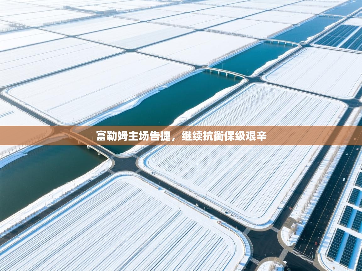 开云体育在线下载-富勒姆主场告捷，继续抗衡保级艰辛