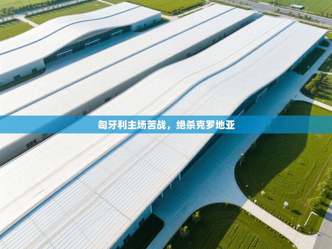 开云体育修改登录密码-匈牙利主场苦战，绝杀克罗地亚  第3张