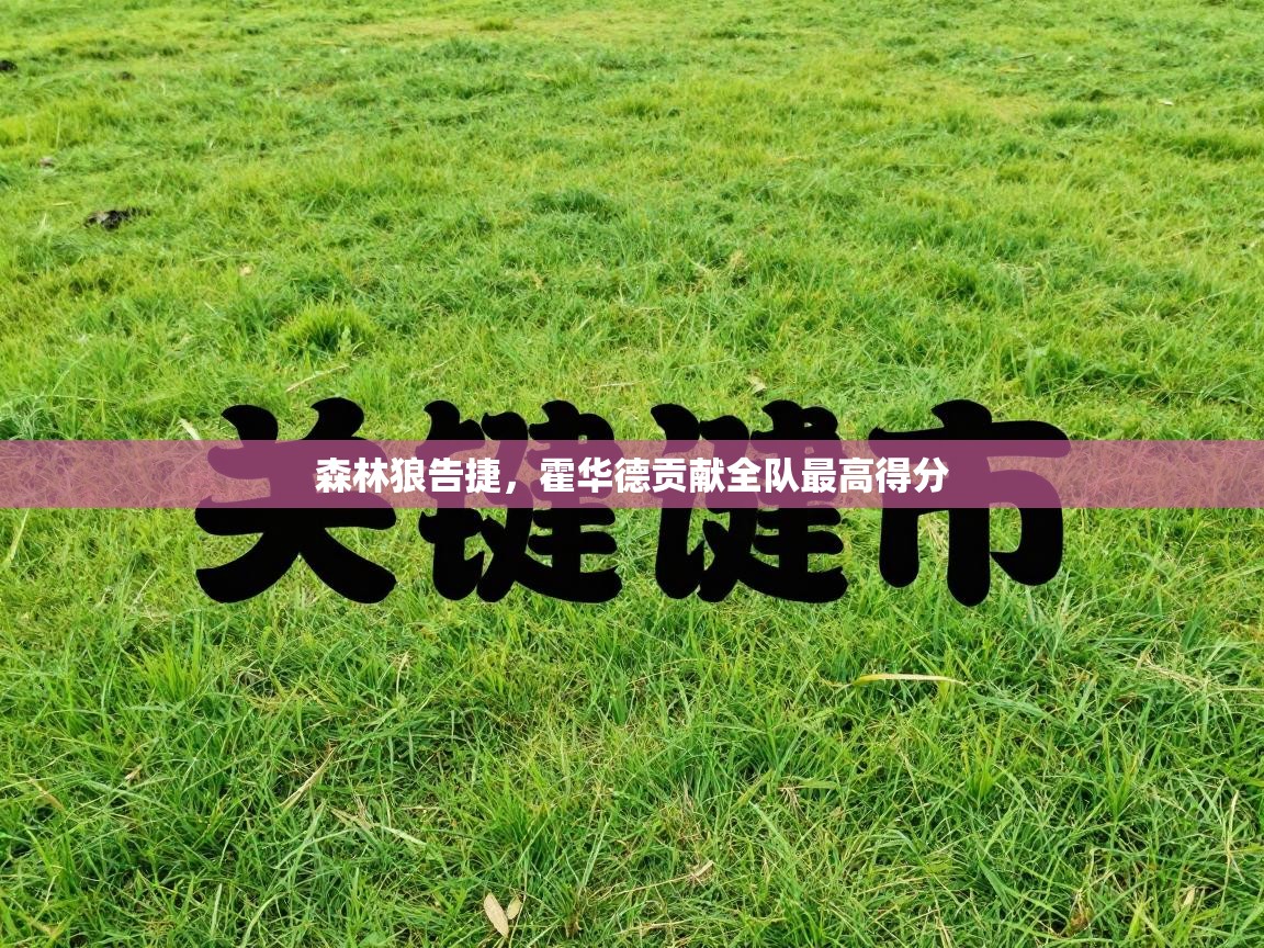 开云APP-森林狼告捷，霍华德贡献全队最高得分